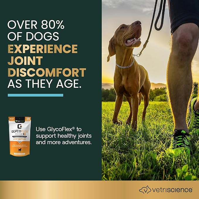 VETRISCIENCE Extra Strength Healthy Hip & Joint Chews, GlycoFlex Glucosamine and Green Lipped Mussels for Dogs, Promote Mobility and Soothe Joint Discomfort, Chicken, 60 Count
