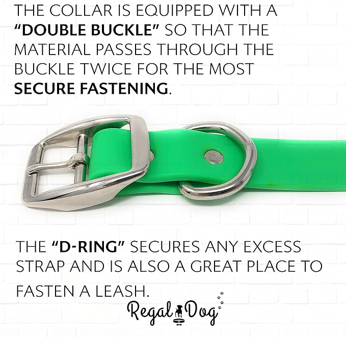 Regal Dog Products Small Light Green Waterproof Dog Collar and Leash Set | Heavy Duty Double Buckle & D Ring - 5'ft Leash | Adjustable Biothane Dog Collar | Chew Resistant Waterproof Collar for Dogs