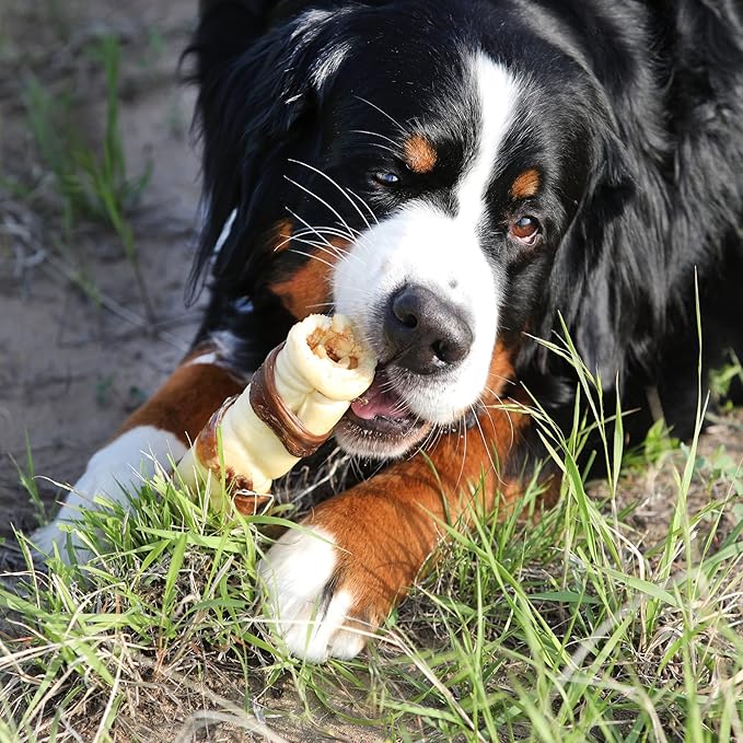 Water Buffalo Retriever 9 Inch Cheek Roll Dog Chews - 3 Pack (Healthy Alternative for Beef Rawhide for Dogs, Natural Treat, Single Source Protein Dog Treat)