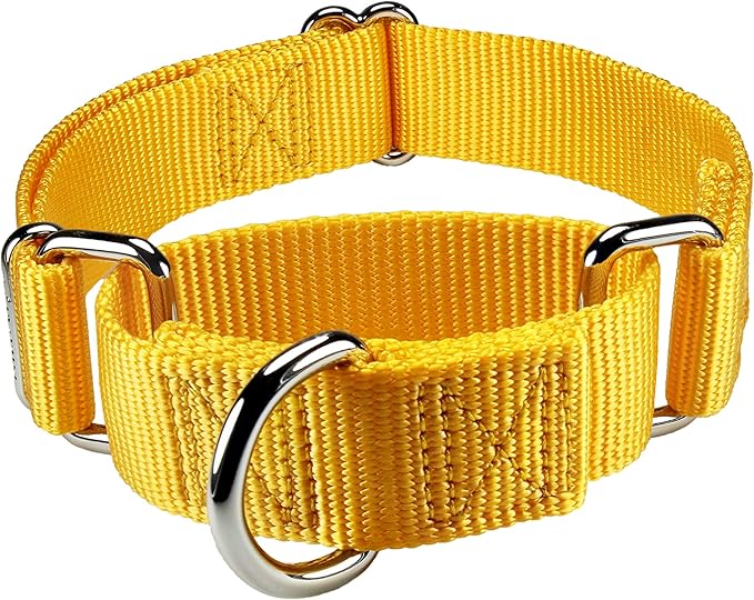 Mikivery Martingale Dog Collar Nylon Adjustable and Safety Training Colourful Comfortable Metal Buckle Pet Collars for Small Medium and Large Dogs(Yellow,M)
