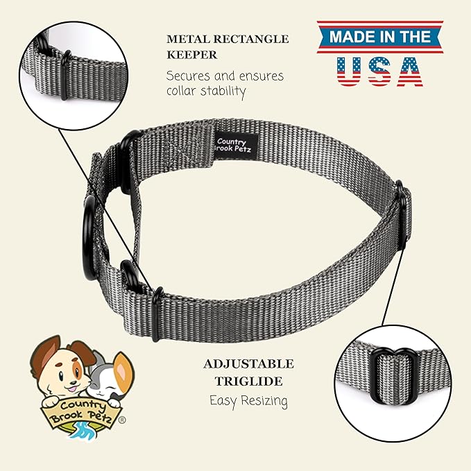 Country Brook Petz Martingale Dog Collar - Heavy-Duty Training Collar with No Buckle - Service Dog Collar for All Pups - Vibrant, Colorful Collection (Charcoal, 3/4 Inch, Small)