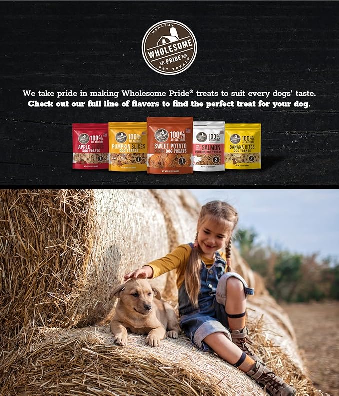Wholesome Pride Banana Bites 100% All-Natural Limited Ingredient Dog Treats, 8 oz