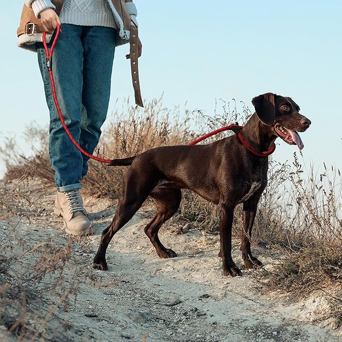 TwoEar Dog Slip Rope Leash - 1/2" x 6FT Heavy Duty Reflective Dog Training Leash for Small to Large Dogs (Red)
