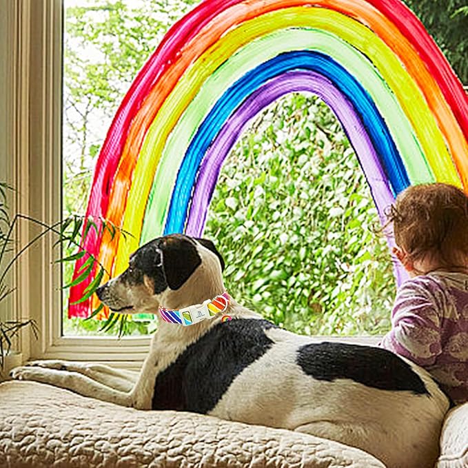 Lionheart glory Rainbow Pattern Dog Collar-Colorful Dog Collars Heavy Duty Adjustable Pride Collars for Small Dogs Pet Gift Summer Holiday Dog Collars Cute