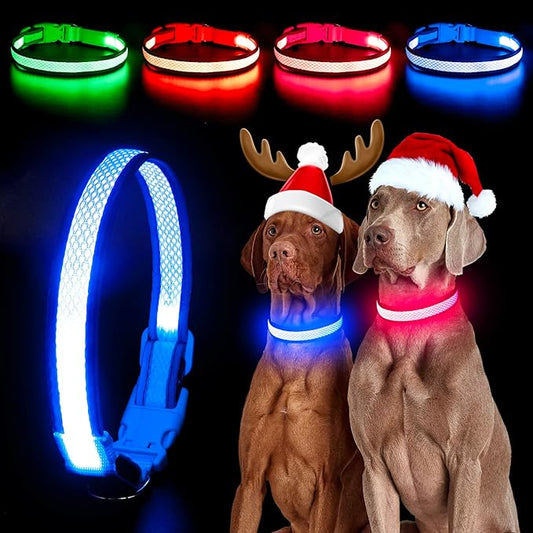 YFbrite Light up Dog Collar, USB Rechargeable LED Puppy Collar Super Bright Adjustable Glowing Dog Lights for Night Walking (Blue, Medium)