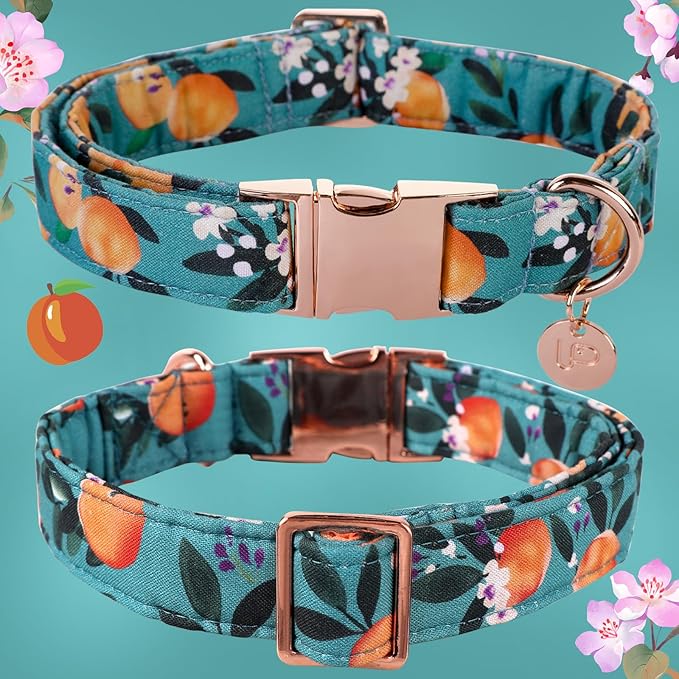 Peach Summer Cotton Dog Collar with Metal Buckle Gift Collar for Small Medium Large Girls or Boys Dogs Cute Durable Comfortable Pet Collars