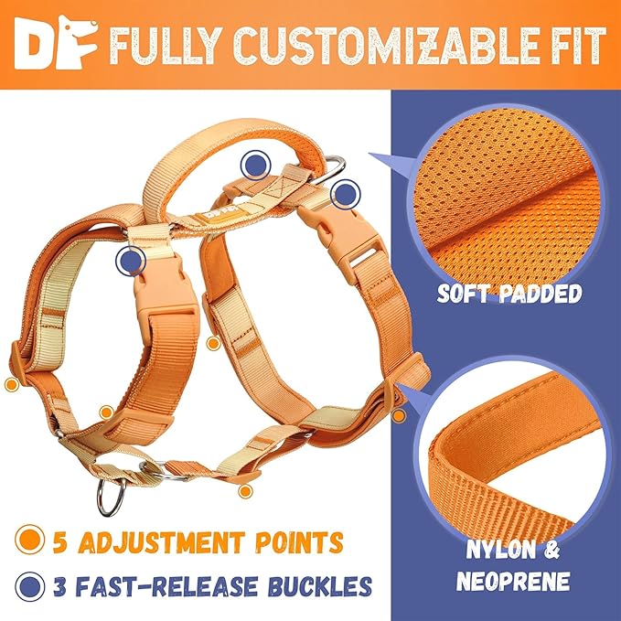 DF Martingale No Pull Dog Harness and Two Point Control Training Leash for Dog Walking Only Works with Martingale Harnesses, Orange, Chest 22"-28"