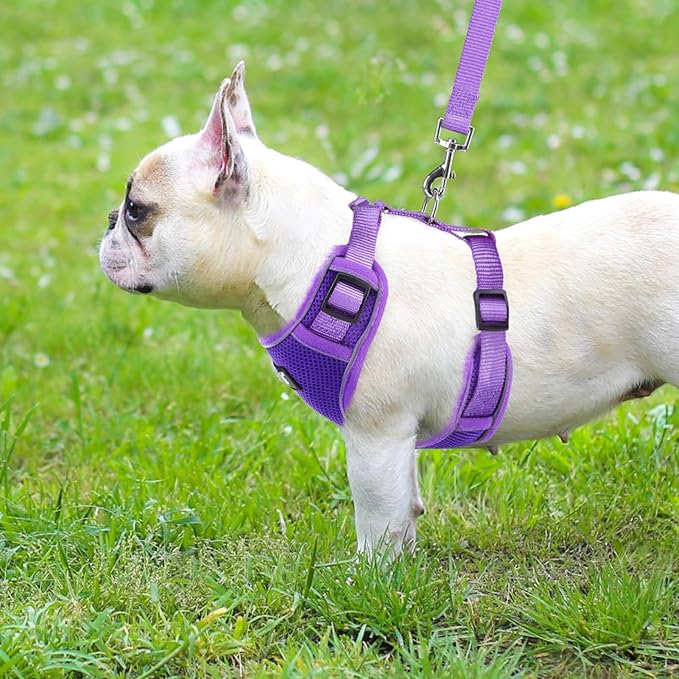 PUPTECK Dog Harness and Leash Set for Small Medium Dogs No Pull, Soft Mesh Adjustable Puppy Cat Harness Reflective at Night, Purple XS
