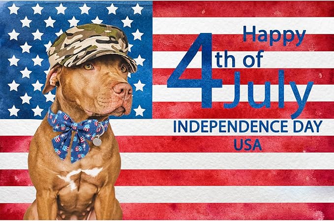 Patriotic Dog Collar with Bow Tie, 4th of July Bowtie Dog Collar, American Flag Collar for Puppy Boy Girl Dog or Cat, Comfortable Summer Bowtie Collar with Metal Buckle, XS