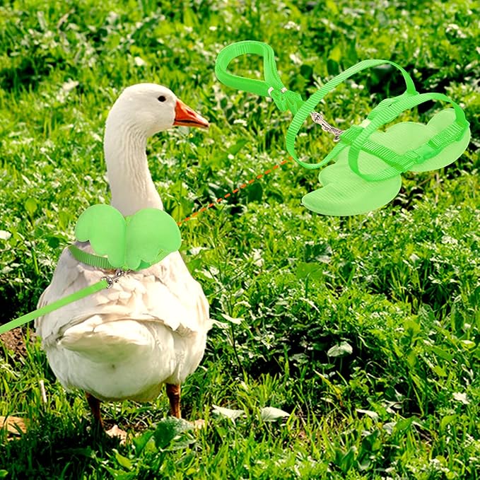 KAMA BRIDAL Duck Walking Harness and Leash Chicken Duck Outdoor Training Rope Adjustable Rope for Pet Poultry Hen Cock (M, Green)