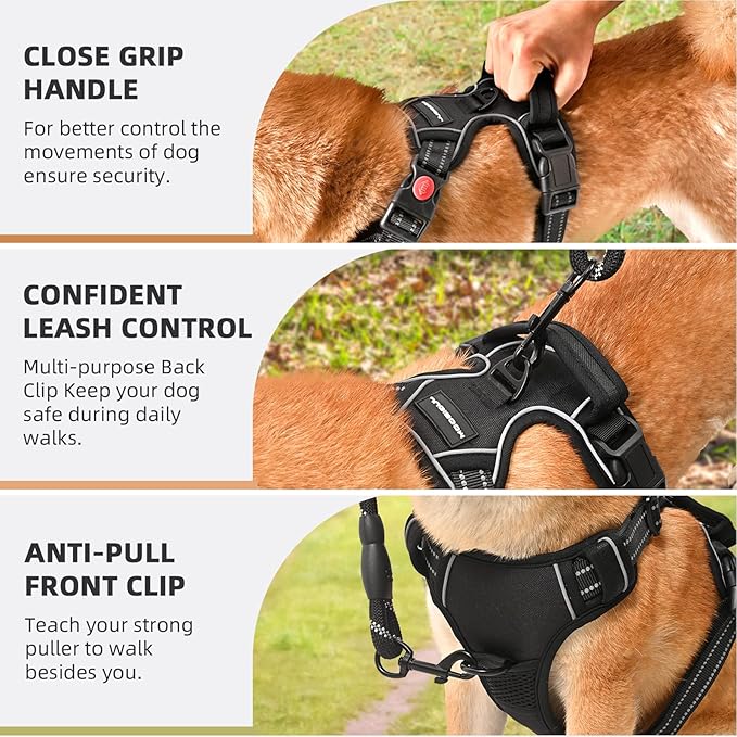 No Pull Dog Harness with Free Heavy Duty 5ft Leash, Adjustable Soft Padded Dog Vest, Reflective No-Choke Oxford Vest with Easy Control Handle (Black, Medium)