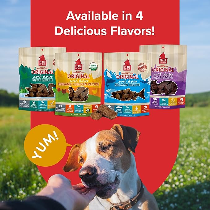 PLATO Original Real Strips Organic Chicken 3oz, Natural (850002221527)