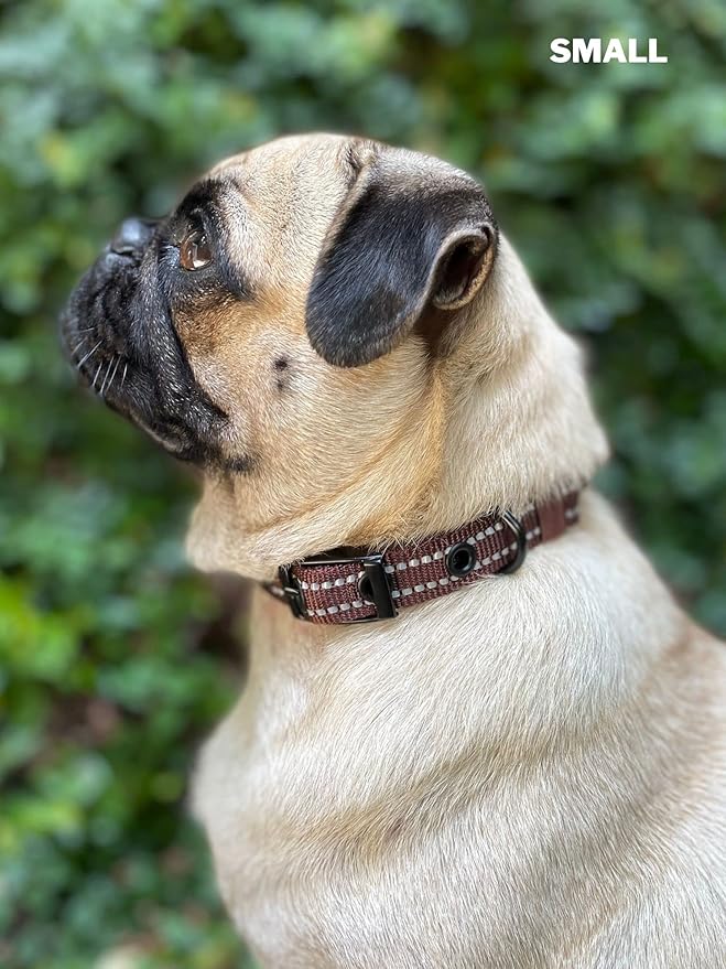 Tuff Pupper Heavy Duty Dog Collar with Handle | Ballistic Nylon Heavy Duty Collar | Padded Reflective Dog Collar with Adjustable Stainless Steel Hardware | Convenient Sizing for All Breeds
