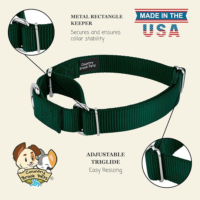 Country Brook Petz Martingale Dog Collar - Heavy-Duty Training Collar with No Buckle - Service Dog Collar for All Pups - Vibrant, Colorful Collection (Green, 1 Inch, Medium)