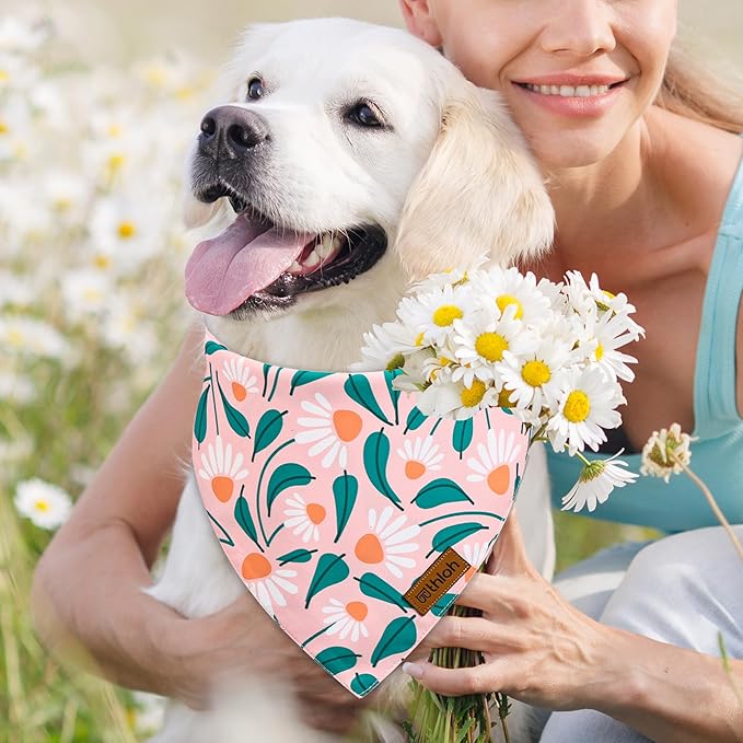 Spring Dog Bandanas - 2 Pack Floral Dog Scarf for Boy & Girl, Premium Durable Fabric, Adjustable Fit, Gift for Dogs, Daisy Bandana for Medium and Large Dogs (Large)