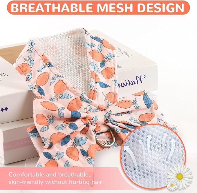 BAEJMJK Dog Harness and Leash Set with Bow Knot No Pull Pet Floral Harness with D-Ring Soft Mesh Dog Harness Vest Set Escape Proof Princess Puppy Harness for Small Girl Dogs Cats(Orange L)