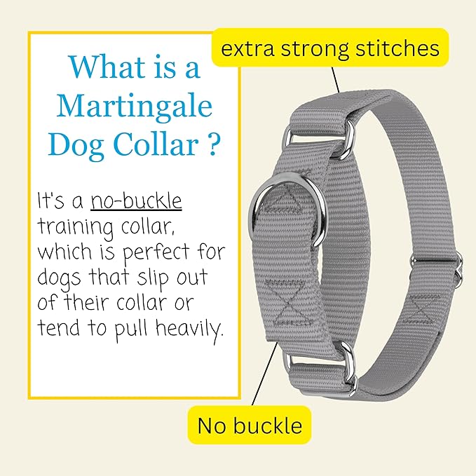 Country Brook Petz Martingale Dog Collar - Heavy-Duty Training Collar with No Buckle - Service Dog Collar for All Pups - Vibrant, Colorful Collection (Silver, 3/4 Inch, Small)