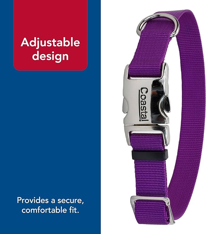 Coastal Pet Adjustable Dog Collar with Metal Buckle - Comfortable Fade-Resistant Dog Collar with Snap Lock - Perfect for Walking & Tie Outs - Purple - 5/8" x 10"-14"
