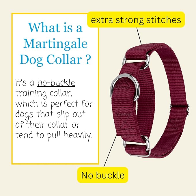 Country Brook Petz Martingale Dog Collar - Heavy-Duty Training Collar with No Buckle - Service Dog Collar for All Pups - Vibrant, Colorful Collection (Burgundy, 1 Inch, Extra Large)