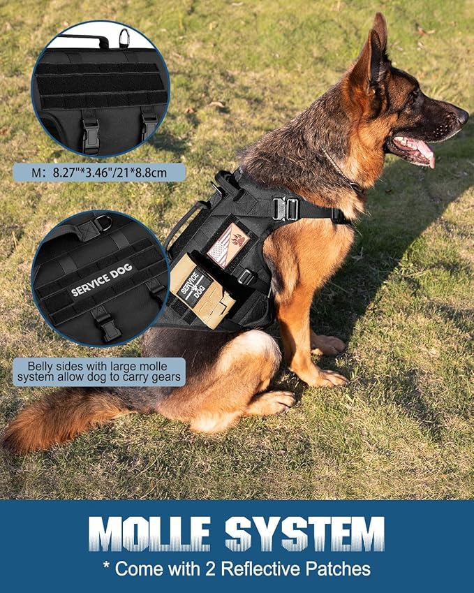Tactical Dog Harness - PETNANNY Service Dog Vest for Large Dogs Fully Body Coverage in Training Dog Harness with 2 Reflective Dog Patches, Handle, Hook and Loop Panels, Dog MOLLE Vest (Black, M)