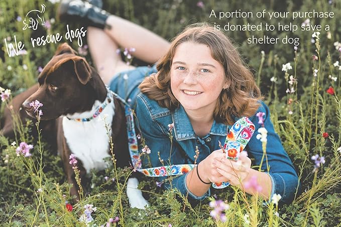 Lucky Love Dog - Easy Click Buckle Dog Collar with Leash Set Combo, Durable & Comfortable for Male & Female Dogs, Pet Collar for Small to Large Dogs, Secure Fit - Ladybird Combo, Large
