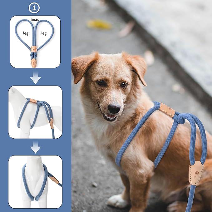 Mile High Life Harness Lead No Pull, All in one Dog Lead 2-in-1, Rope Leash and Harness Two in One, Slip Leash for Puppy Small Dogs Training, 4FT Blue