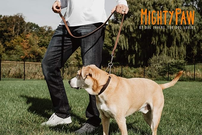 Mighty Paw Martingale Dog Collar - No Pull Design - Stainless Steel Chain - Limited Chain Cinch Training - Brown Leather Martingale Training Collar - Medium Size