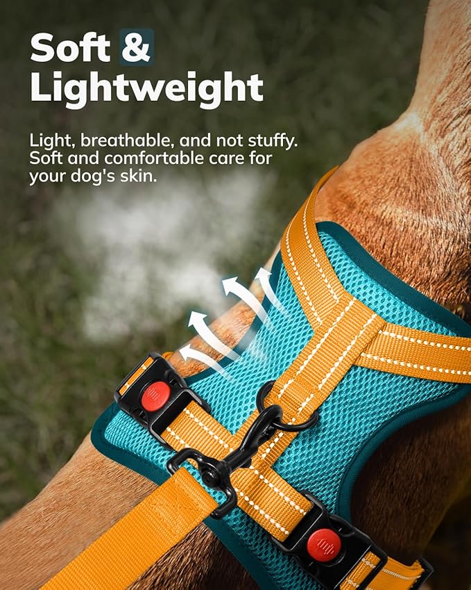 MIDOG Dog Harness, No-Pull Pet Harness and Leash Set for Small Medium Large Dogs Walking, No Choke Front Clip Dog Reflective Harness, Adjustable Soft Padded Pet Vest with Easy Control Handle (Blue,XS)