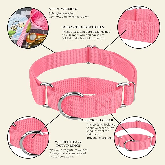 Country Brook Petz Martingale Dog Collar - Heavy-Duty Training Collar with No Buckle - Service Dog Collar for All Pups - Vibrant, Colorful Collection (Pink, 5/8 Inch, Extra Small)