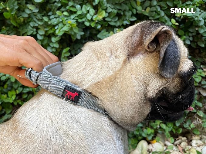 Heavy Duty Dog Collar with Handle | Ballistic Nylon Heavy Duty Collar | Padded Reflective Dog Collar with Adjustable Stainless Steel Hardware | Convenient Sizing for All Breeds