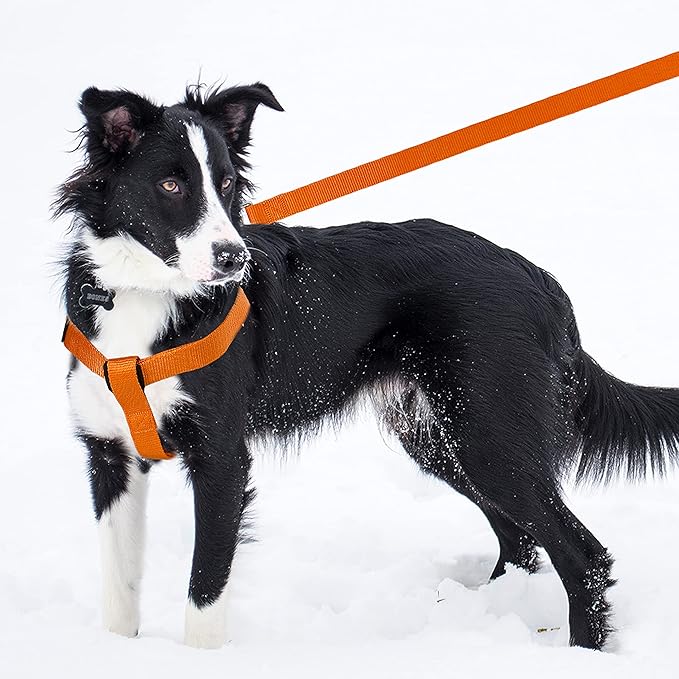 No Pull Dog Harness - Adjustable Step-in Harness & Leash Set for Small, Medium, Large Dogs - Escape Proof Soft Pet Harness for Walking, Training, Hiking, Outdoor Activities