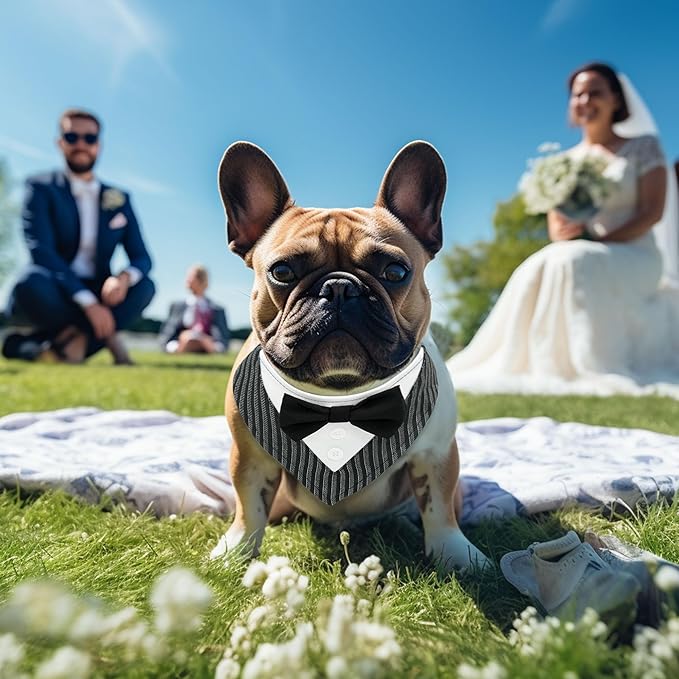 Cyeollo Wedding Bandana Collar With Bow Tie - Adjustable Tuxedo for Small Dogs, Pet Birthday Outfit, Costumes, Engagement Party Bandanas, Striped S