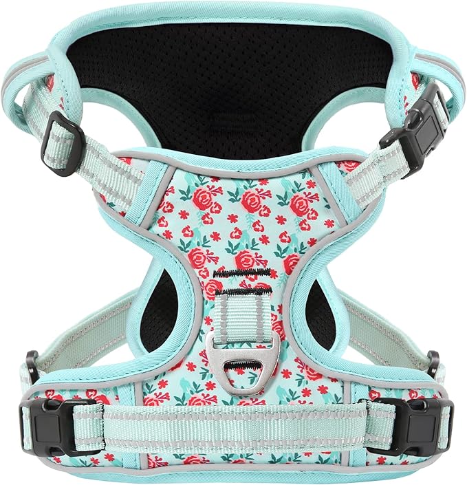 Timos Dog Harness, 3 Snap Buckles No-Pull Soft Padded Dog Vest with 2 Metal Leash Clips,Adjustable Reflective No Choke Pet Harness with Easy Control Handle for Small Dogs,Cyan,S