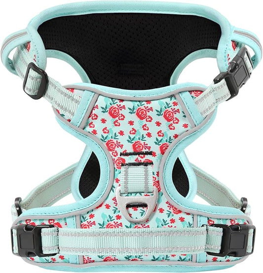 Timos Dog Harness, 3 Snap Buckles No-Pull Soft Padded Dog Vest with 2 Metal Leash Clips,Adjustable Reflective No Choke Pet Harness with Easy Control Handle for Small Dogs,Cyan,S