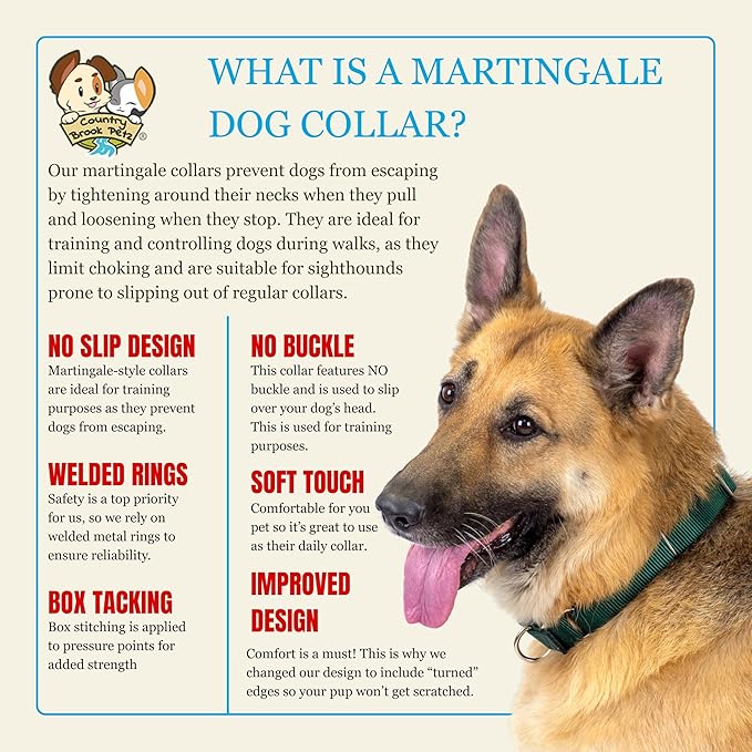 Country Brook Petz Martingale Dog Collar - Heavy-Duty Training Collar with No Buckle - Service Dog Collar for All Pups - Vibrant, Colorful Collection (Almond, 3/4 Inch, Small)