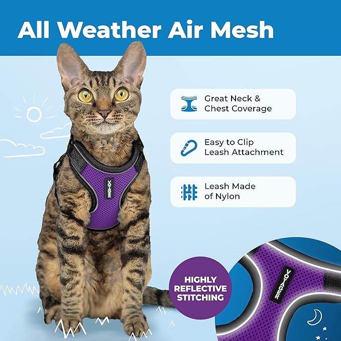 Voyager Escape Proof Cat Harness and Leash set with Reflective Stitching, Neoprene Handle 5ft - Supports Small, Medium and Large Cats, Kittens for walking by Best Pet Supplies - Black Trim-Purple, XXS