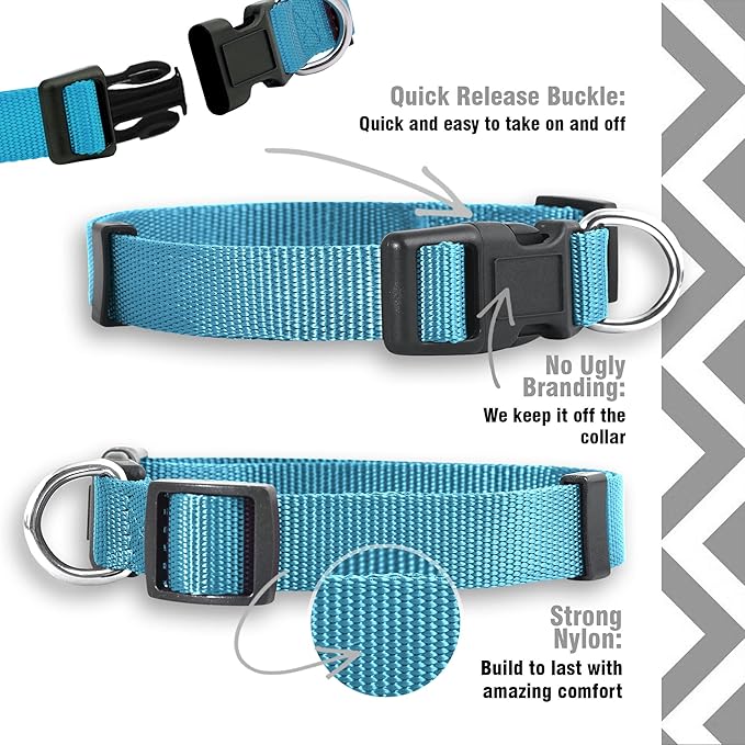 Native Pup Basic Nylon Dog Collar, Adjustable for Small, Medium, Large pet and Puppies Accessories, Cute Colors for Male, Female, boy, Girl, Puppy (Medium, Turquoise)