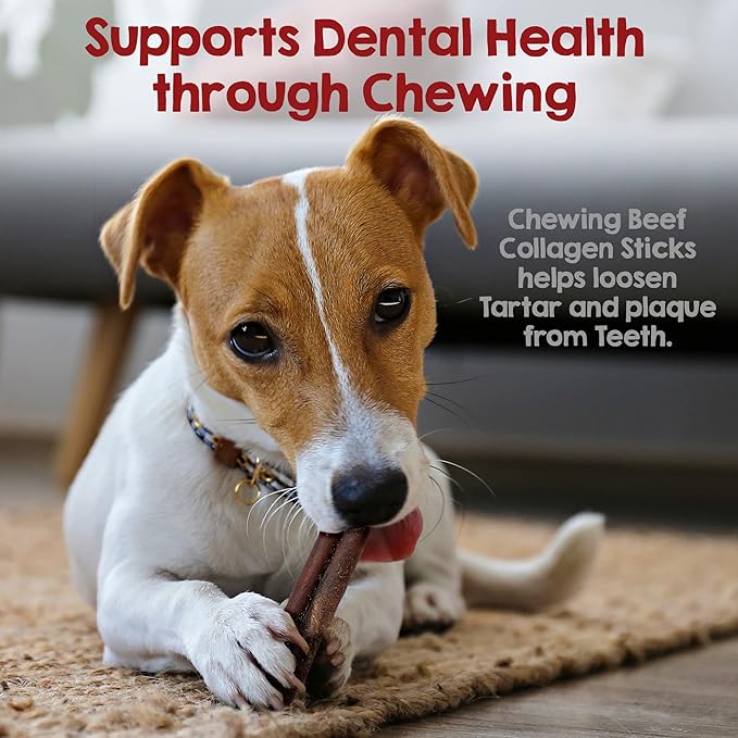 Riley's 6 Inch Beef Collagen Sticks for Dogs, Collagen Chews for Dogs, Bully Stick & Rawhide Alternative, Long Lasting, No Raw Hide Chews, Single Ingredient Dog Treat - 5 ct