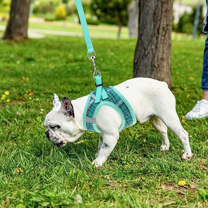 PUPTECK Adjustable Dog Harness Collar and Leash Set Step in No Pull Pet Harness for Small Medium Dogs Puppy and Cats Outdoor Walking Running, Soft Mesh Padded Reflective Vest Harnesses, Lake Green XXS