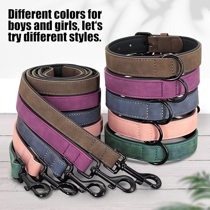 Didog Soft Padded Leather Dog Collar and Leash Set, Heavy Duty Dog Lead and Collar Set with Metal Buckle, Breathable Pet Collars with 4FT Leather Leash for Small Medium Dogs, Green, M
