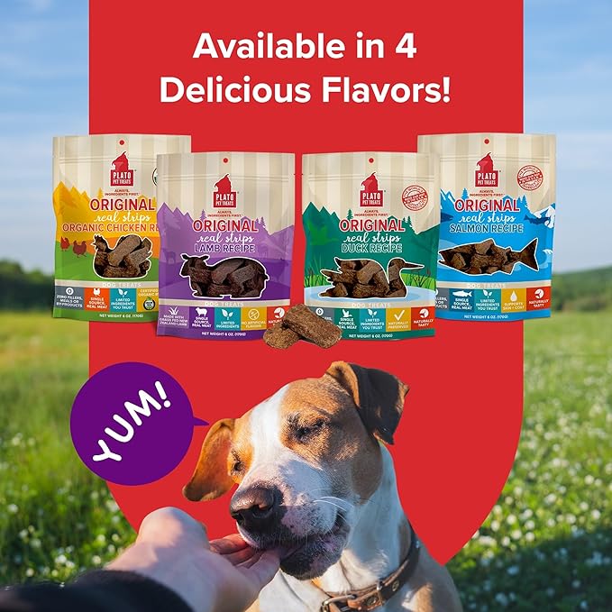 Plato Pet Treats Real Strips - Air-Dried Meat Bars for Dogs - Delicious, Limited Ingredient Dog Treats - Grain Free Dog Treats - Original Real Strips Lamb 6oz