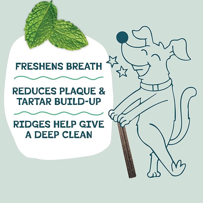 Shameless Pets Dental Treats for Dogs, Carrate Chomp (32 Sticks) - Supports Skin & Coat for Teeth Cleaning & Fresh Breath - Dog Bones Dental Chews Free from Grain, Corn & Soy