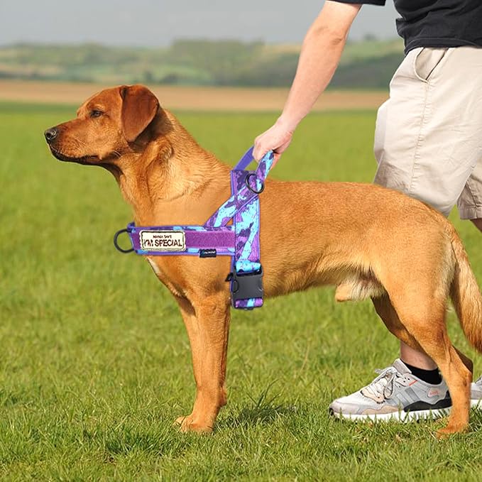 Annchwool No Pull Dog Harness with Soft Padded Handle,Escape Proof and Quick Fit to Adjust Dog Harness,Easy for Training Walking for Small & Medium and Large Dogs(Camo Purple,S)