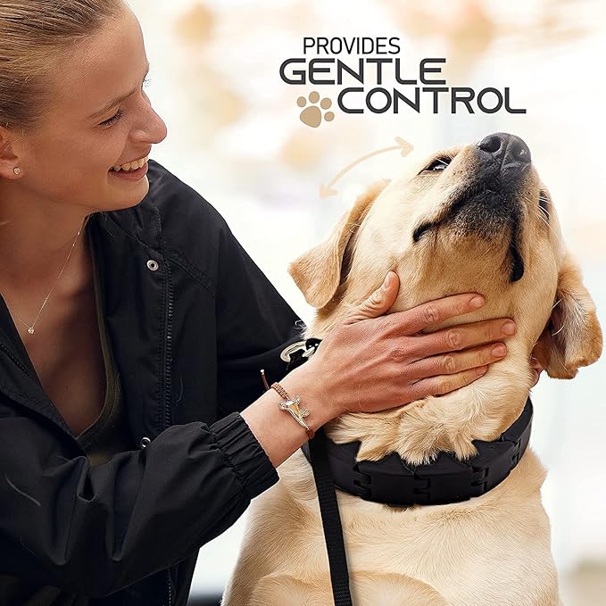Ram-Pro Dog Training Collar Small Pinch Collar for Dogs Triple Crown Pro Training Collar Large Gentle Effective Control in a No Barking Control Dog Collar for All Breeds