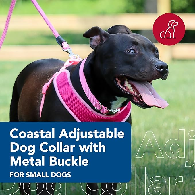 Coastal Pet Adjustable Dog Collar with Metal Buckle - Comfortable Fade-Resistant Dog Collar with Snap Lock - Perfect for Walking & Tie Outs - Pink Bright - 5/8" x 10"-14"