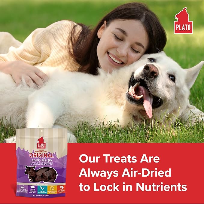 Plato Pet Treats Real Strips - Air-Dried Meat Bars for Dogs - Delicious, Limited Ingredient Dog Treats - Grain Free Dog Treats - Original Real Strips Lamb 6oz