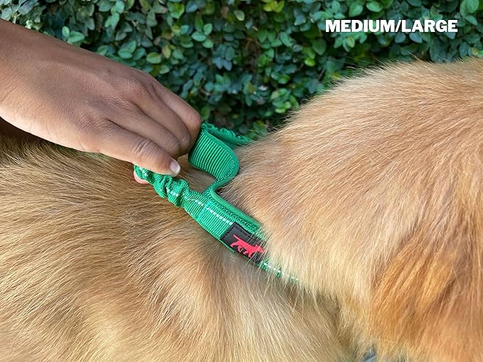 Heavy Duty Dog Collar With Handle | Ballistic Nylon Heavy Duty Collar | Padded Reflective Dog Collar With Adjustable Stainless Steel Hardware | Convenient Sizing for All Breeds