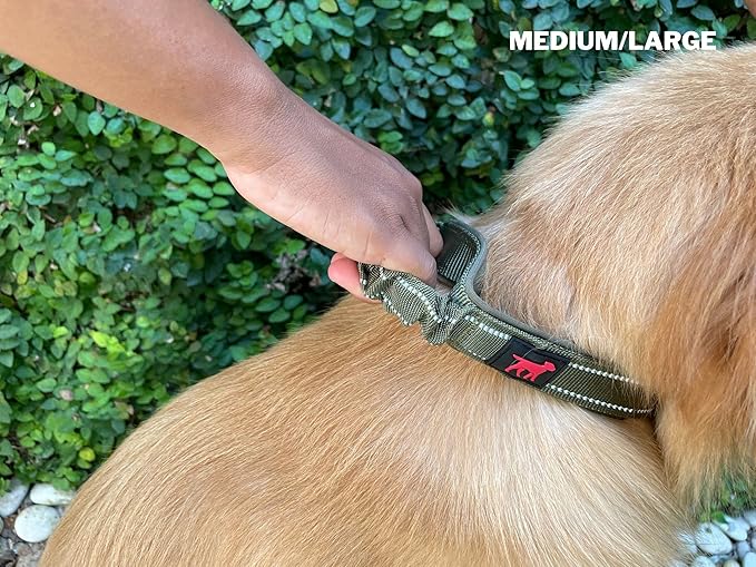 Heavy Duty Dog Collar With Handle | Ballistic Nylon Heavy Duty Collar | Padded Reflective Dog Collar With Adjustable Stainless Steel Hardware | Convenient Sizing for All Breeds