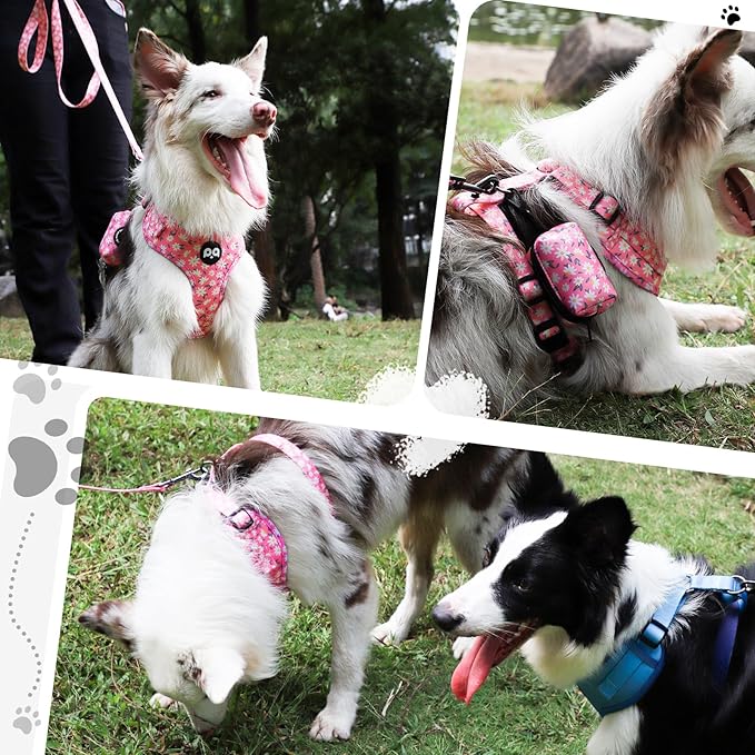 QQPETS Dog Harness Collar Leash with Poop Bag Holder 4 PCS Set, Adjustable No Pull Soft Mesh Padded Vest for Small Medium Large Pet Puppy Outdoor Walking (Daisy Pink, L (Chest 22.4”-32.6”))