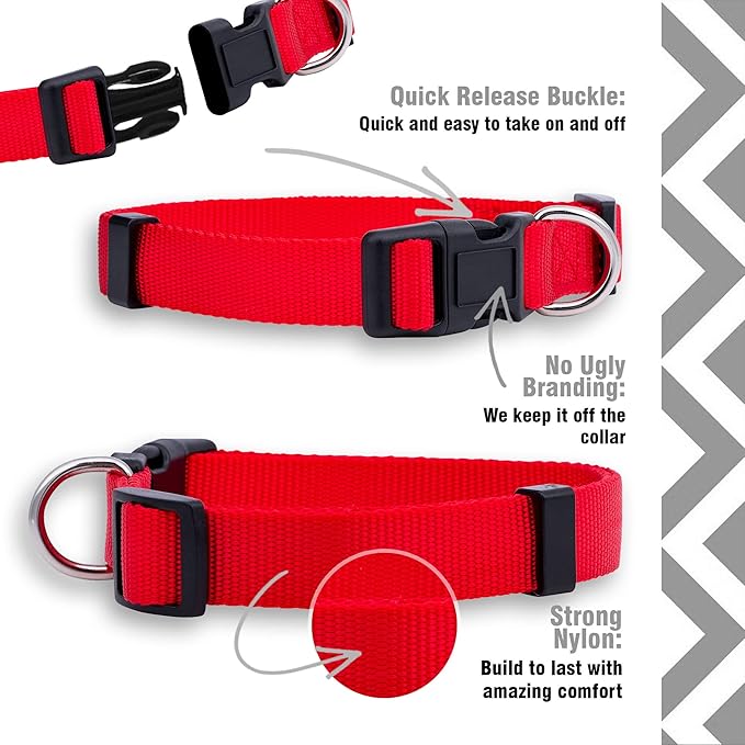 Native Pup Basic Nylon Dog Collar, Adjustable for Small, Medium, Large pet and Puppies Accessories, Cute Colors for Male, Female, boy, Girl, Puppy (Small, Red)